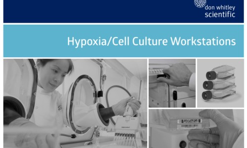 三宝胶囊百度百科-三宝片的功效和作用主治、三宝胶囊主要有什么功效和作用 -三宝利舒通片主治功能网